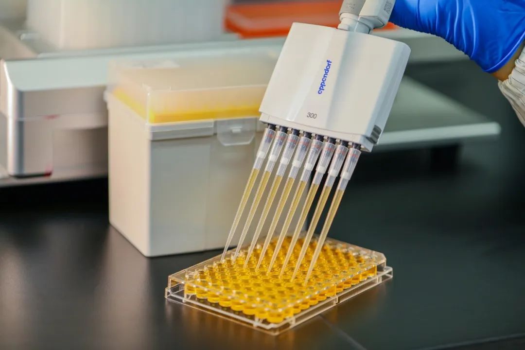 Ano ang tamang pipette tips para sa iyo?