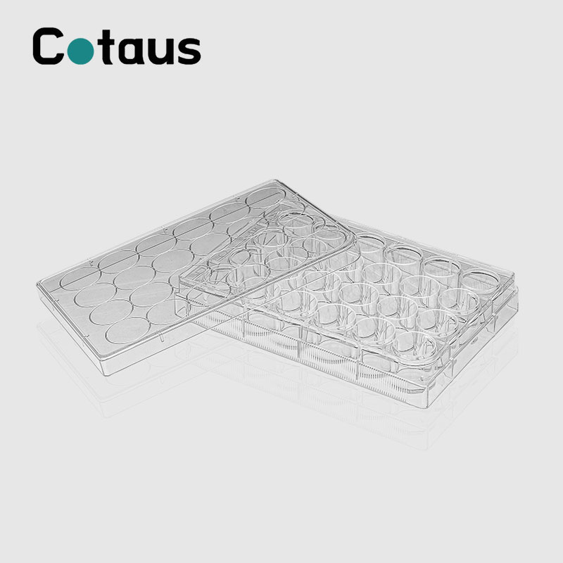 24 Well Cell Culture Plate