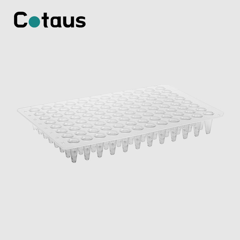 96 Well 0.1ml Transparent Walang Skirt PCR Plate