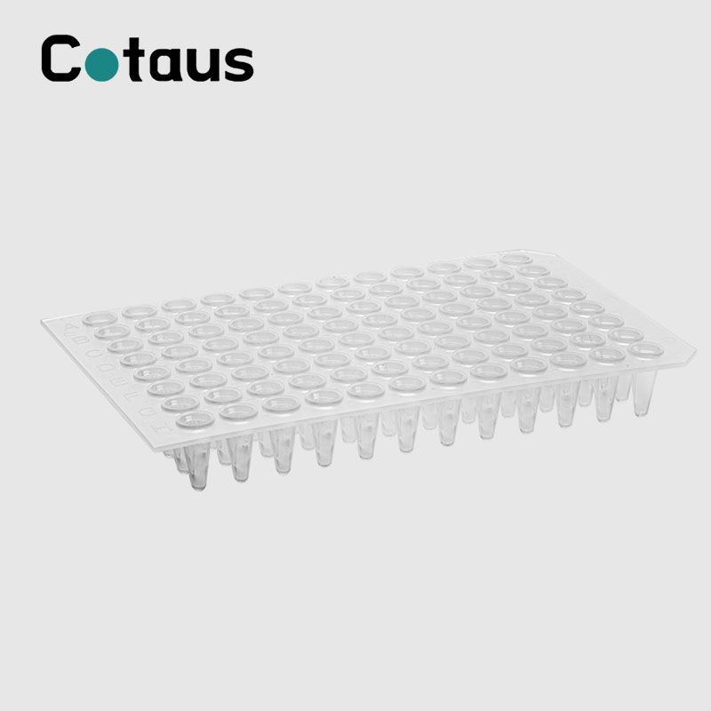 96 Well 0.2ml Transparent Walang Skirt PCR Plate